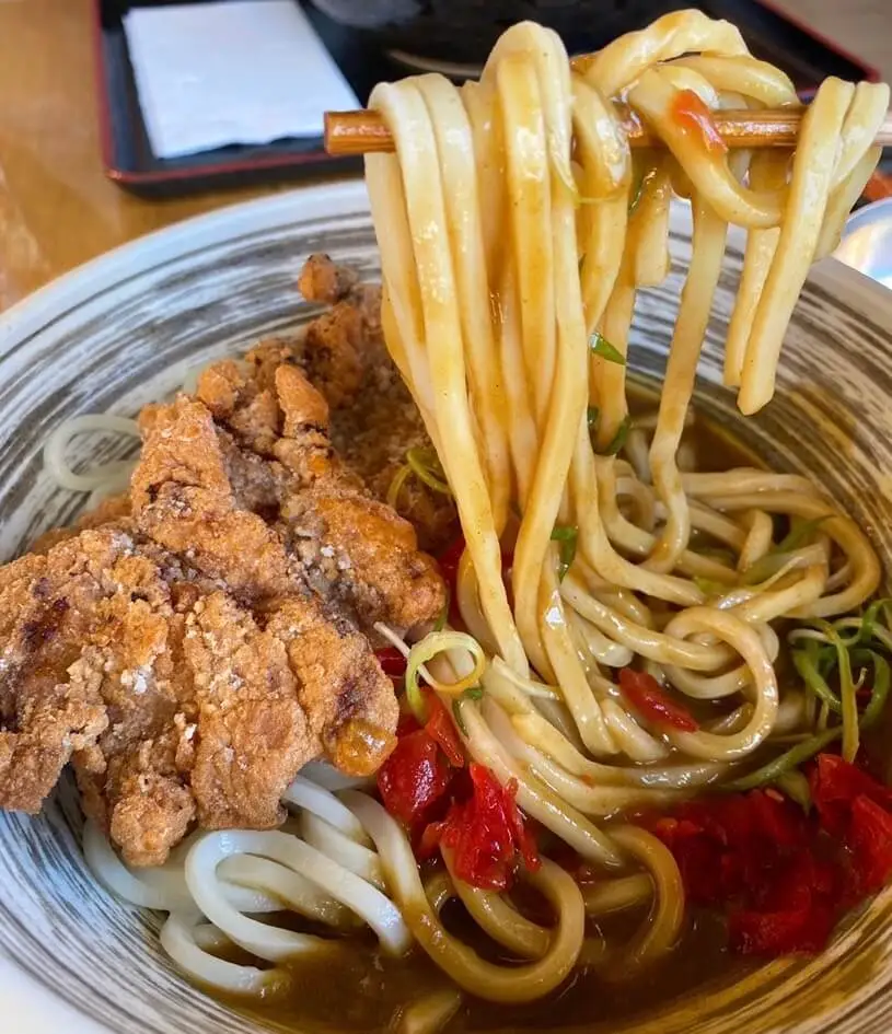 Curry Udon noodle pull from Futago Udon in Boston's Fenway