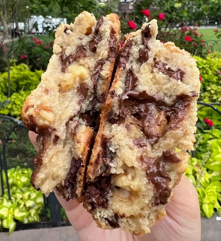 walnut chocolate chip cookie from levain bakery in Boston's Back Bay, one of the best desserts in Boston