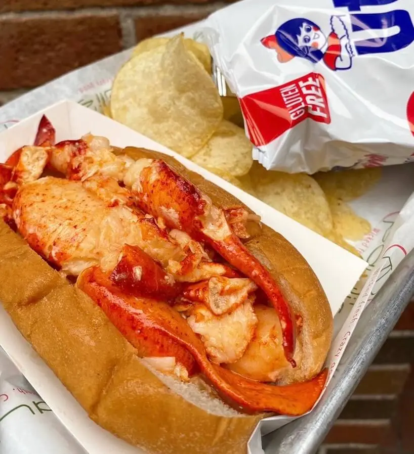 Close up of the lobster roll from Pauli's in Boston's North End, the best boston sandwiches