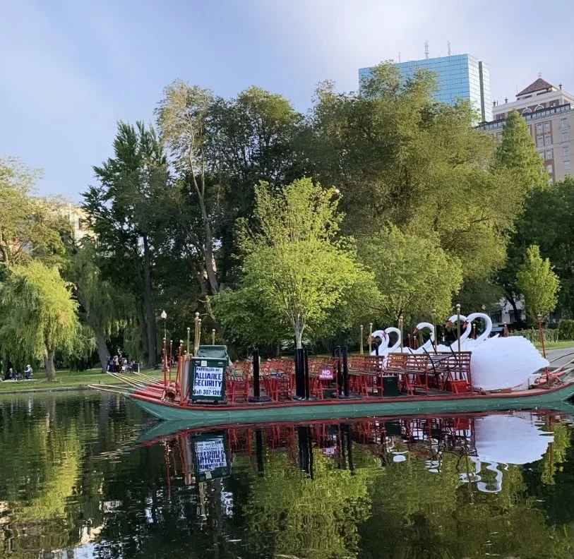 Swan boats at the Boston Commons