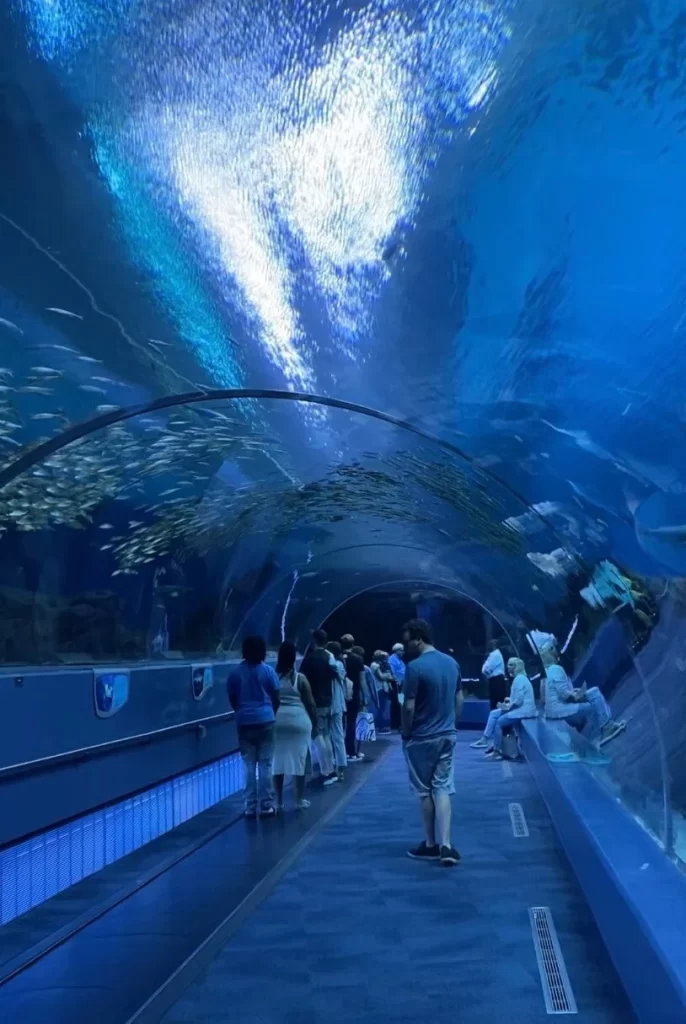 Georgia Aquarium, a must-see for a weekend in Atlanta