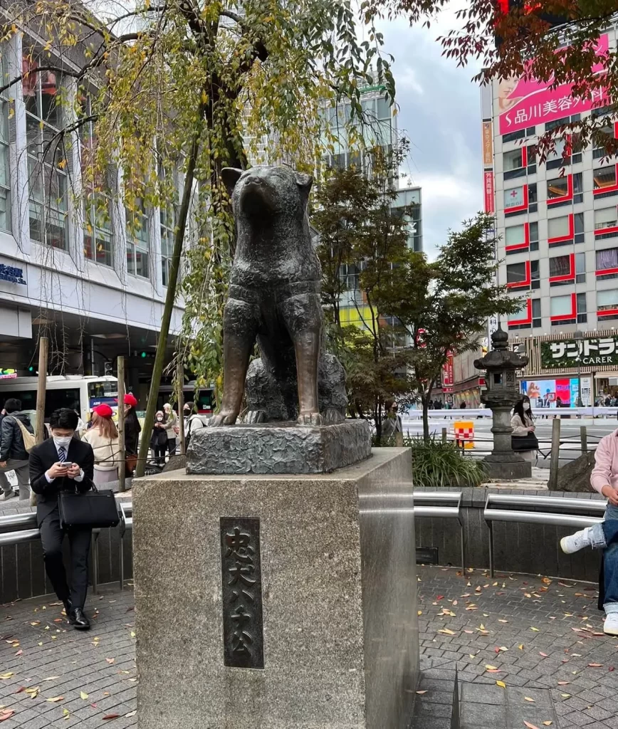 Hachiko dog statue in Shibuya, Tokyo, a must for a Tokyo itinerary