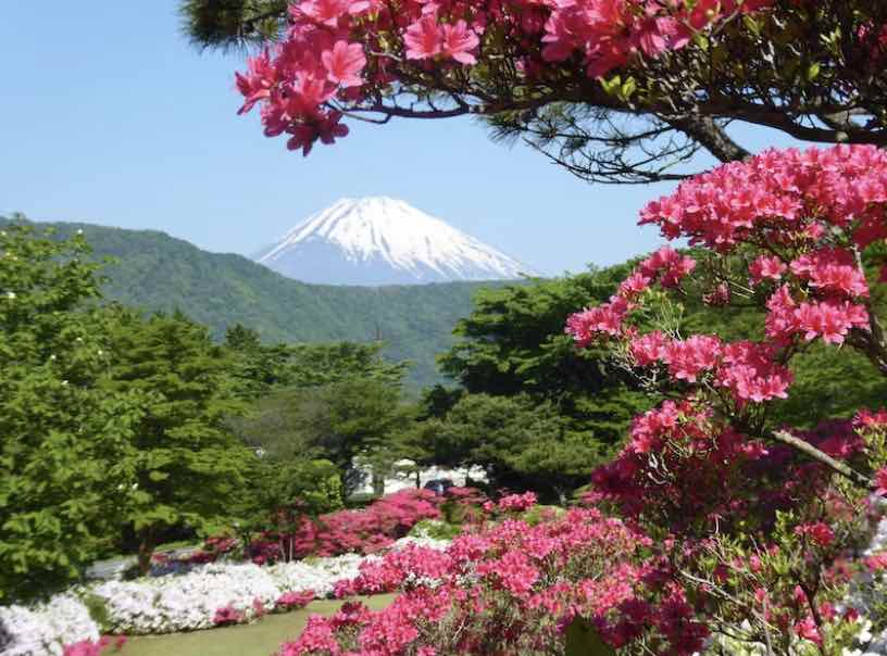 Mount Fuji, a great day trip from Tokyo for your Tokyo itinerary
