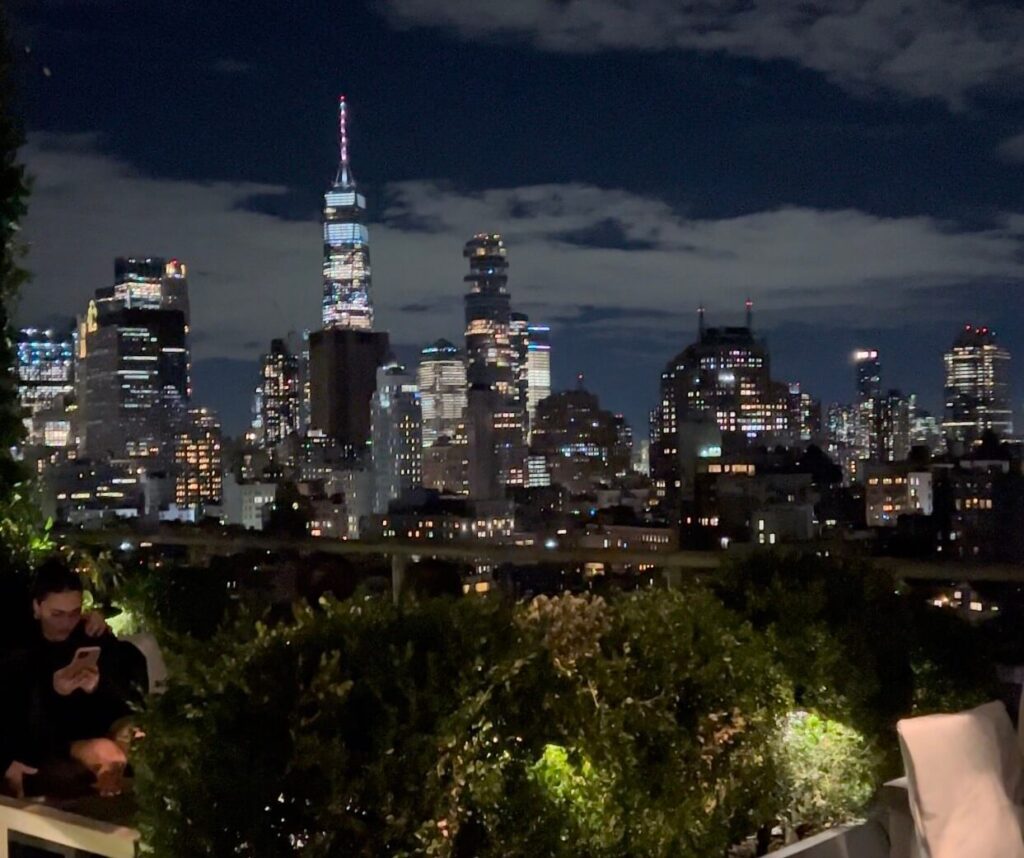 Rooftop bar in NYC