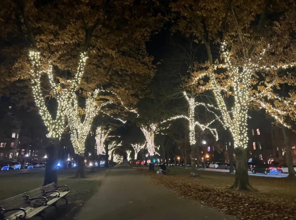 Back Bay's Commonwealth Avenue, one of the best things to do in Boston at night