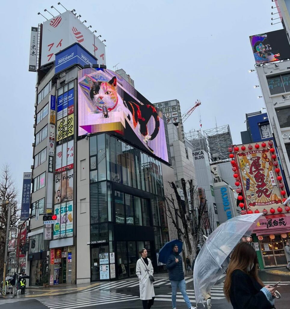 Shibuya 